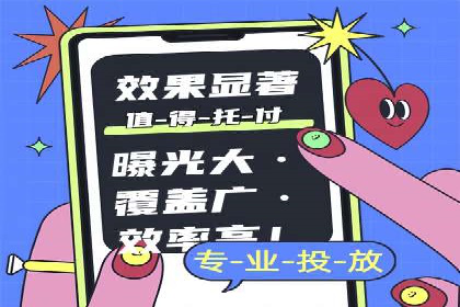 竞价广告策略案例分析